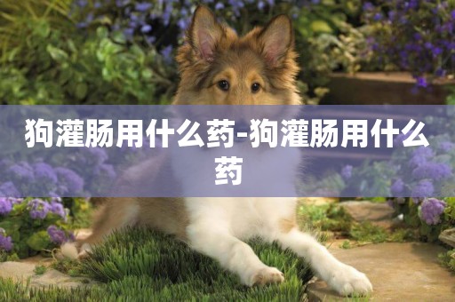 狗灌腸用什么藥-狗灌腸用什么藥