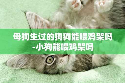 母狗生過的狗狗能喂雞架嗎-小狗能喂雞架嗎