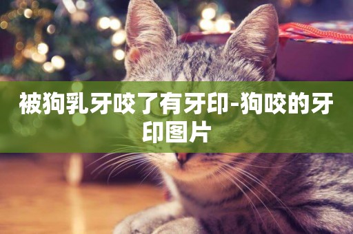 被狗乳牙咬了有牙印-狗咬的牙印圖片