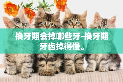 換牙期會掉哪些牙-換牙期牙齒掉得慢。