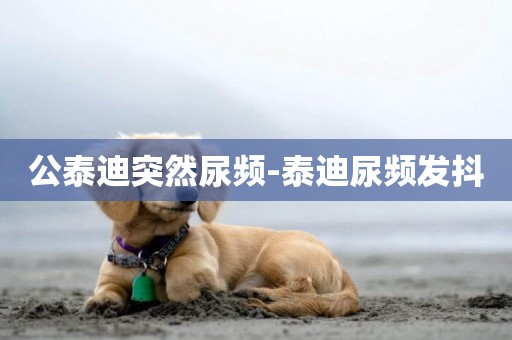 公泰迪突然尿頻-泰迪尿頻發抖