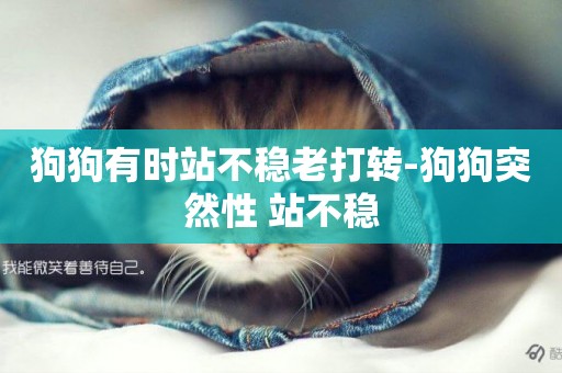 狗狗有時站不穩老打轉-狗狗突然性 站不穩
