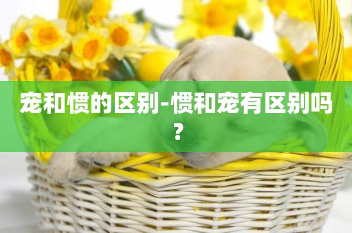 寵和慣的區別-慣和寵有區別嗎？