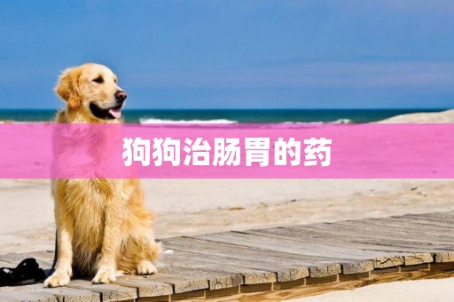 狗狗治腸胃的藥