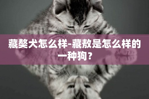 藏獒犬怎么樣-藏敖是怎么樣的一種狗？