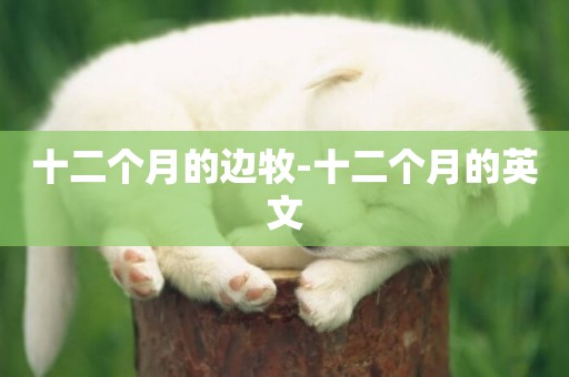 十二個月的邊牧-十二個月的英文