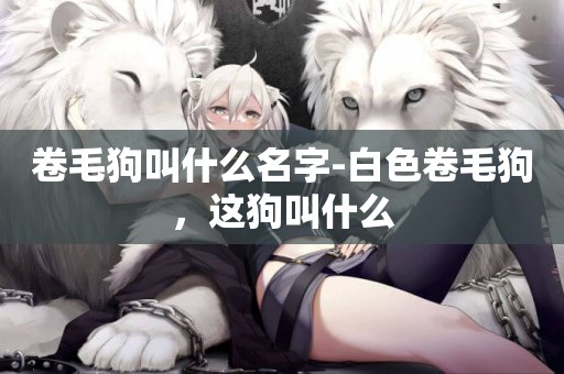 卷毛狗叫什么名字-白色卷毛狗，這狗叫什么