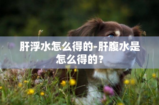 肝浮水怎么得的-肝腹水是怎么得的？