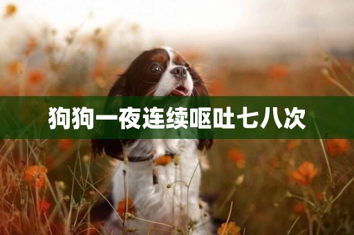 狗狗一夜連續嘔吐七八次