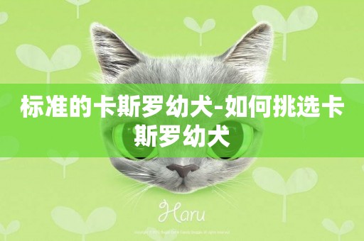標準的卡斯羅幼犬-如何挑選卡斯羅幼犬