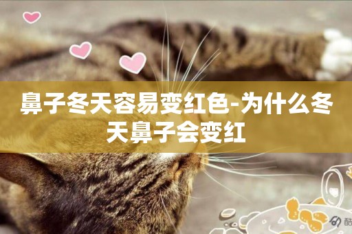鼻子冬天容易變紅色-為什么冬天鼻子會變紅