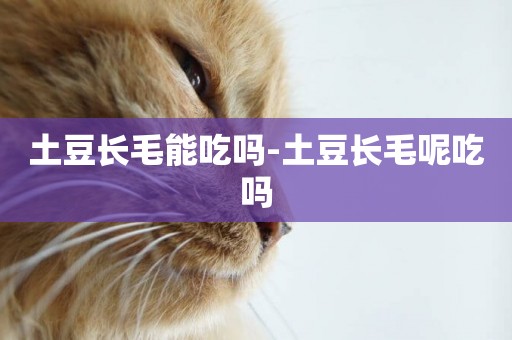 土豆長毛能吃嗎-土豆長毛呢吃嗎