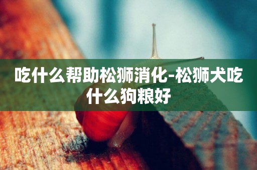 吃什么幫助松獅消化-松獅犬吃什么狗糧好