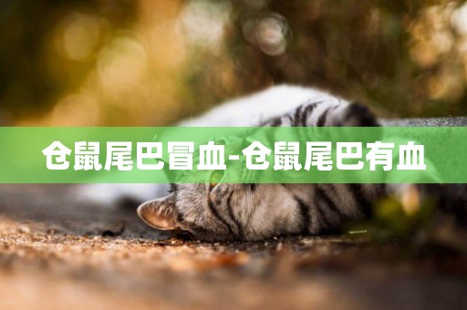 倉鼠尾巴冒血-倉鼠尾巴有血