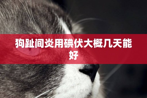 狗趾間炎用碘伏大概幾天能好