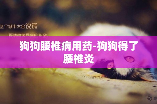 狗狗腰椎病用藥-狗狗得了腰椎炎
