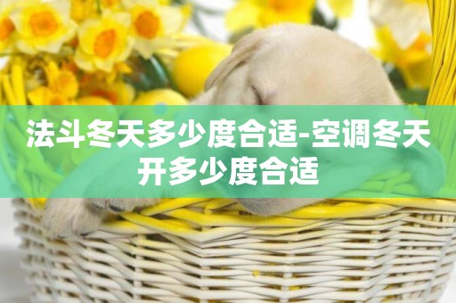 法斗冬天多少度合適-空調冬天開多少度合適