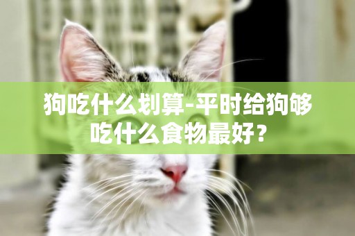 狗吃什么劃算-平時給狗夠吃什么食物最好？