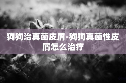狗狗治真菌皮屑-狗狗真菌性皮屑怎么治療