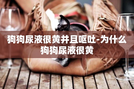 狗狗尿液很黃并且嘔吐-為什么狗狗尿液很黃