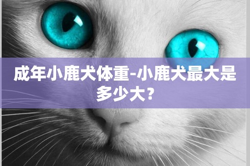 成年小鹿犬體重-小鹿犬最大是多少大？