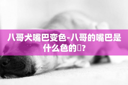 八哥犬嘴巴變色-八哥的嘴巴是什么色的??
