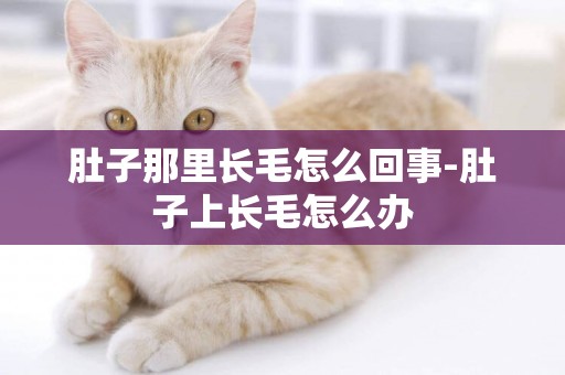 肚子那里長毛怎么回事-肚子上長毛怎么辦