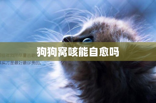 狗狗窩咳能自愈嗎