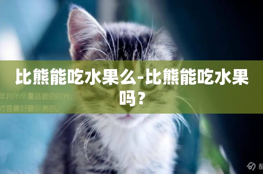 比熊能吃水果么-比熊能吃水果嗎？