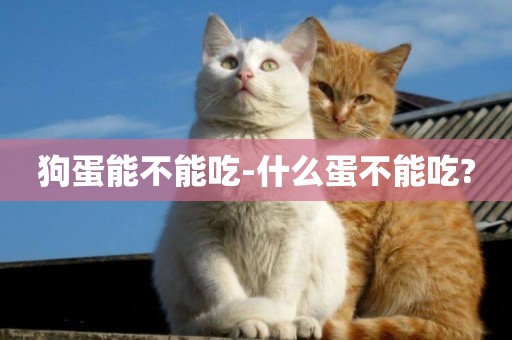 狗蛋能不能吃-什么蛋不能吃?