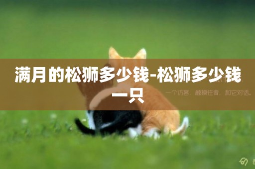 滿月的松獅多少錢-松獅多少錢一只