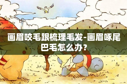 畫眉咬毛跟梳理毛發-畫眉啄尾巴毛怎么辦？