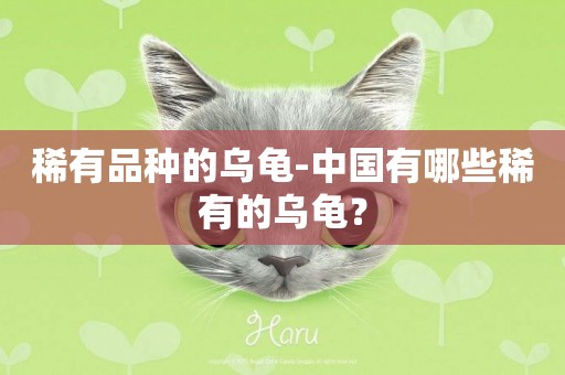 稀有品種的烏龜-中國有哪些稀有的烏龜？