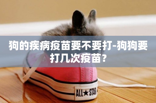 狗的疾病疫苗要不要打-狗狗要打幾次疫苗？