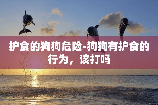 護食的狗狗危險-狗狗有護食的行為，該打嗎