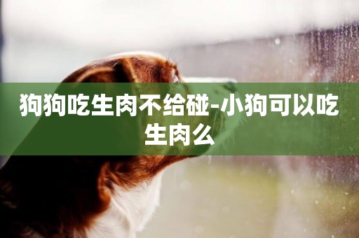 狗狗吃生肉不給碰-小狗可以吃生肉么