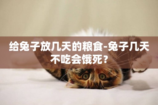 給兔子放幾天的糧食-兔子幾天不吃會餓死？