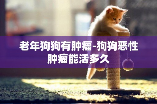 老年狗狗有腫瘤-狗狗惡性腫瘤能活多久