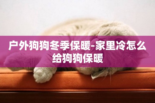 戶外狗狗冬季保暖-家里冷怎么給狗狗保暖