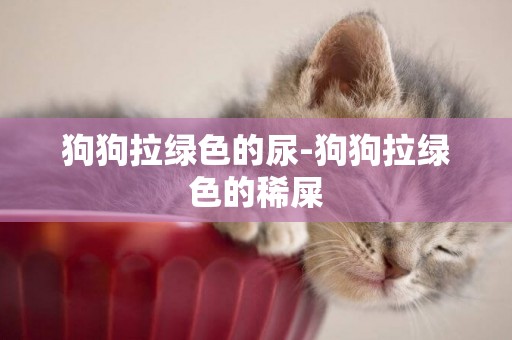 狗狗拉綠色的尿-狗狗拉綠色的稀屎