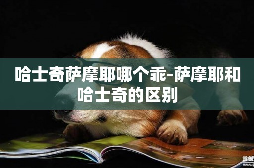 哈士奇薩摩耶哪個乖-薩摩耶和哈士奇的區別