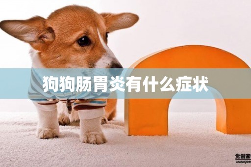 狗狗腸胃炎有什么癥狀