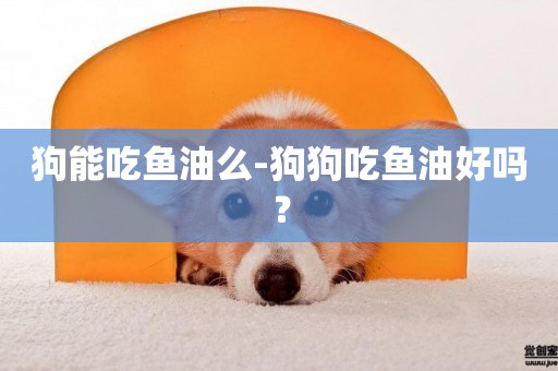狗能吃魚油么-狗狗吃魚油好嗎？