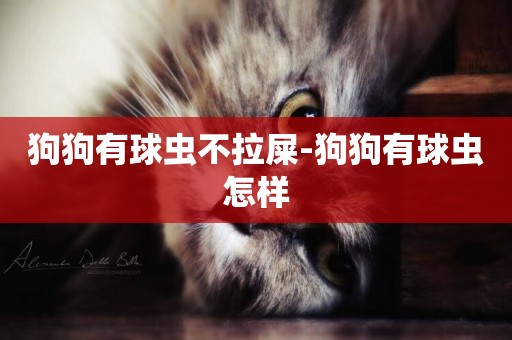 狗狗有球蟲不拉屎-狗狗有球蟲怎樣