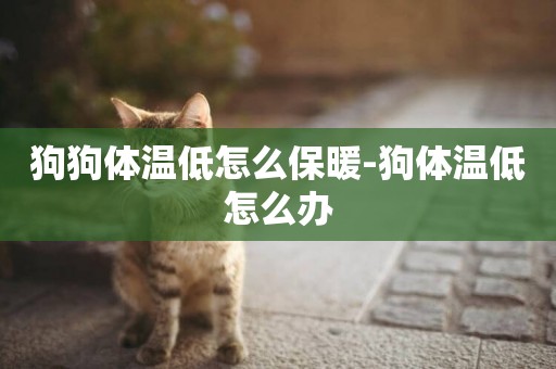 狗狗體溫低怎么保暖-狗體溫低怎么辦