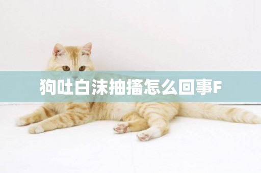 狗吐白沫抽搐怎么回事F