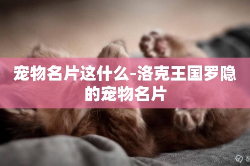 寵物名片這什么-洛克王國羅隱的寵物名片