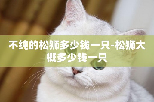 不純的松獅多少錢一只-松獅大概多少錢一只