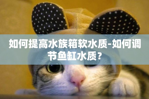 如何提高水族箱軟水質-如何調節魚缸水質？