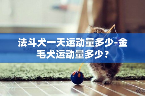 法斗犬一天運動量多少-金毛犬運動量多少？